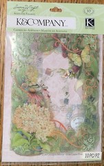 K&Company Colorful Handmade Acetate DieCut Frames Flowers Butterflies Scrapbook