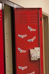 CHEVROLET CORVETTE WINGS EMBLEM DIE CUT VINYL 50 CT STICKER PACK