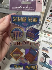 High School Senior Scrapbook Lot