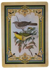 Vintage Bird Illustrations John James Audubon Junk Journal Scrapbook Crafts SK