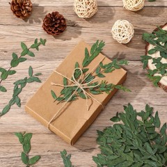 Wavwavw 100 Pcs Pressed Dried Eucalyptus Leaves 6 Inch 100% Natural Preserved…