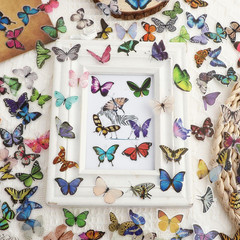 240PCS Butterfly Stickers, PET Waterproof Transparent Colorful Resin Decals Deco