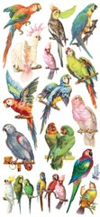 VIOLETTE STICKER – PARROTS – 8″ x 3 3/4″ (20cm x 9.5cm)