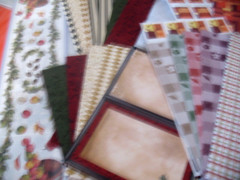 Lot Holly Days, Dazzle, quilted, flower buds strips.