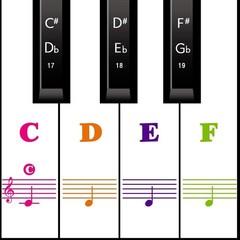 Piano Note Stickers Overlay – Protective & Lightweight Labels for 88-Key Pianos