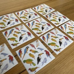 10 Sticker Sheets Unique Colourful Australian Birds Wildlife multicoloured