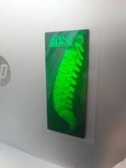 VTG Polaroid 3-D 90’s Holograms Prototypes – HUMAN SPINE / INSTITUTE 4.5 X 2″