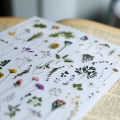 Rub-on stickers | 3 sheets watercolor green leaf botanical flower floral leaves