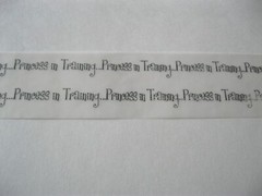Princess Velum Scrapbook Words