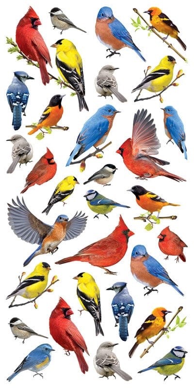 Colorful Realistic Birds Stickers Planner Supply Papercraft Cardinal Crafts