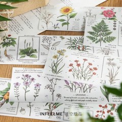 1Pcs Scrapbooking Sticker Strip Washi Vintage Plants Words Craft Journal Decor