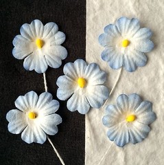 10 Blue Flowers Handmade Mulberry Paper Tropical flower baby boy Cards shower