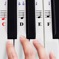 Easy Install Transparent Piano Stickers – Enhance Learning for 49-88 Keyboards