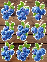Blueberries Die Cut Vinyl Stickers Set Scrapbooking Laptop Water Bottle