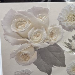 K&Company Embossed Stickers White Flowers(2) Pastel Flowers(1) Scrapbooking