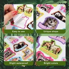 800 Pcs Teacher Reward Stickers for Students Funny Reward Stickers for Kids M…