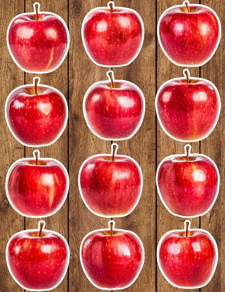 Red Apple Die Cut Vinyl Stickers Set Scrapbooking Laptop Water Bottle