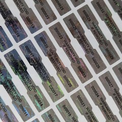 Tamper Proof Holographic Labels with 540pcs for Item Security and Protection