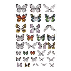 Tim Holtz, Advantus Transparent Wings, white 72 Count Medium, White
