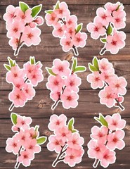 Sakura Flower Die Cut Vinyl Stickers Scrapbooking Laptop Waterbottle