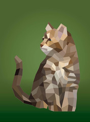 Paint by Sticker (Official): Cats: Create 12 Stunning Images One Sticker at a Ti