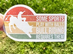Cute COWBOY stickers, ranch, horse, hat, 50pcs, Decal, cowboys, western