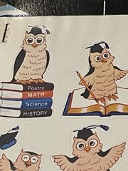 Vintage Graduation Owls Cute Birds Stickers 36 Stickers NIP NOS