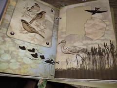 Pond Life Junk Journal Scrapbook USA Seller