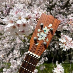 Inlay Sticker for Guitar & Ukulele Headstock – Cherry Blossom/Sakura,H-124SA