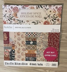 SCRAPBOOKING Scrapbook Supplies/Stickers/48 Pages of 12X12 Acid Free Paper