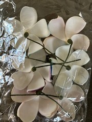 Flower Pack, Multi-Color Crafts