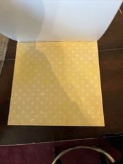 Little Birdie Card Stock Pack 6“ X 6“ 24 Pack Sunshine And Lemonade