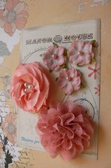Mixed APRICOT Fabric Organza Lace 5 Flower Pk 3-8cm Manor House