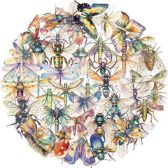 50Pcs Transparent Insect Stickers for Scrapbooking PET Nature Dragonfly Bee