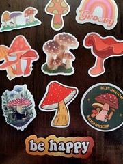 STICKERS x 10 Mushrooms Positive Reminder Be Happy Mushroom Groovy Sticker FEBF8