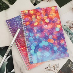 2 Pack Reusable Sticker Book Collecting Album Sticker Storage Organizer Book wit