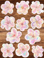 Iridescent Flower Die Cut Vinyl Stickers Set Scrapbooking Laptop WaterBottle