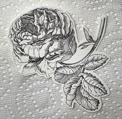 ANNA GRIFFIN «CAMILLA COLLECTION» Embellish & Tags Lot/2 Sets 49 Pcs New (PA30)