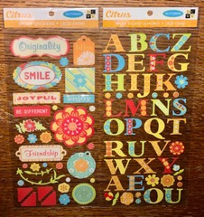 Lot Of 2 DCWV Citrus Glittered Alphabet Friendship Joy Smile Joyful Enjoy Flower