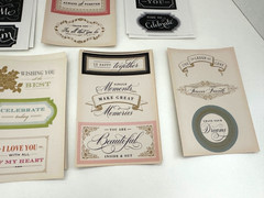 Anna Griffin Artfully Said Vellum Quote 143 Stickers – AG 528 New – Scrapbooking