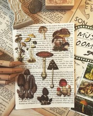 100 pcs Small Mushroom Translucent Vellum Matte Surface Paper Sticker Scrapbook