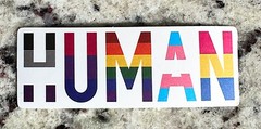 LOT of 500pc PRIDE MIX Stickers, LGTBQ Rainbow, Lesbian,Trans, Non binary