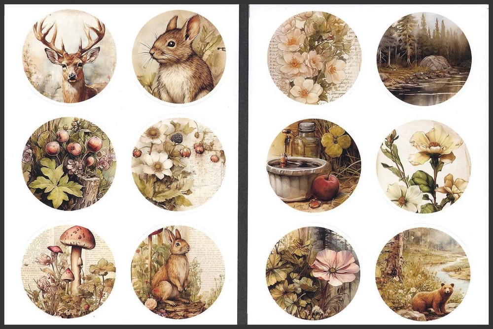 Stickers – Bear Deer Rabbit – Any Occasion CL175