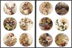 Stickers – Bear Deer Rabbit – Any Occasion CL175