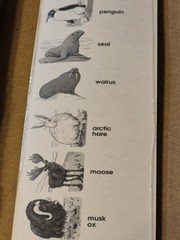 120 Polar Animal Stickers Cd-1520 Carson Dellosa Arctic Wildlife Zoo Animals