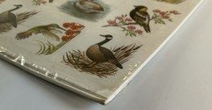 Vintage 120 BIRD STICKERS Eureka Sealed