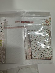 NIP LOT OF 7 PKGS MINI CRAFT BAGS, WEBSTER’S PAGES, ADRIENNE LOOMAN-SCRAPBOOKING
