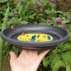 Floating Bee Watering Stations 7.87 Inch Foam Honeycomb Design Bee Feeder for