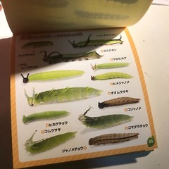 Japanese Caterpillar Stickers book 250 Stickers Shogakkan NEO