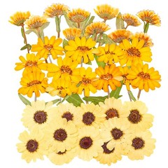 36 Pcs Yellow Dried Pressed Flowers for Resin Crafts – Zinnia, Calendula, Mar…